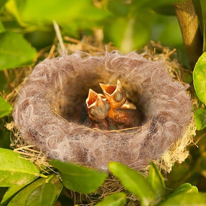 CREATCABIN 40g Bird Nesting Material Jute Bird Nests Bedding Material Mixing Canary Nesting Material Finch Parakeet Nesting Materials for Hummingbird Hamster Cage Gardens Tree Trunks Cotton Wool