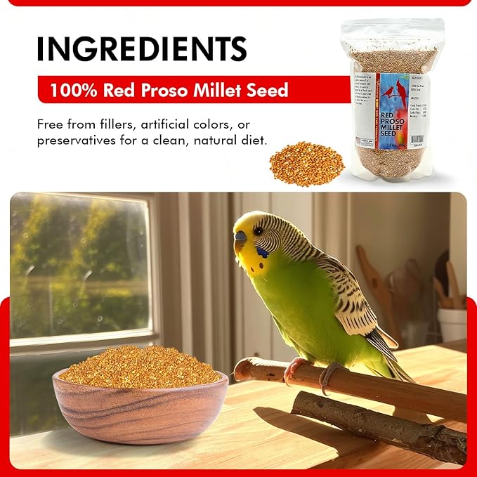Morning Bird Red Proso Millet 1.5 lbs – Natural Bird Seed – Supports Feather Growth & Balanced Nutrition – Great Flavor, Energy Dense - Ideal for Finches, Parakeets & Pet Birds