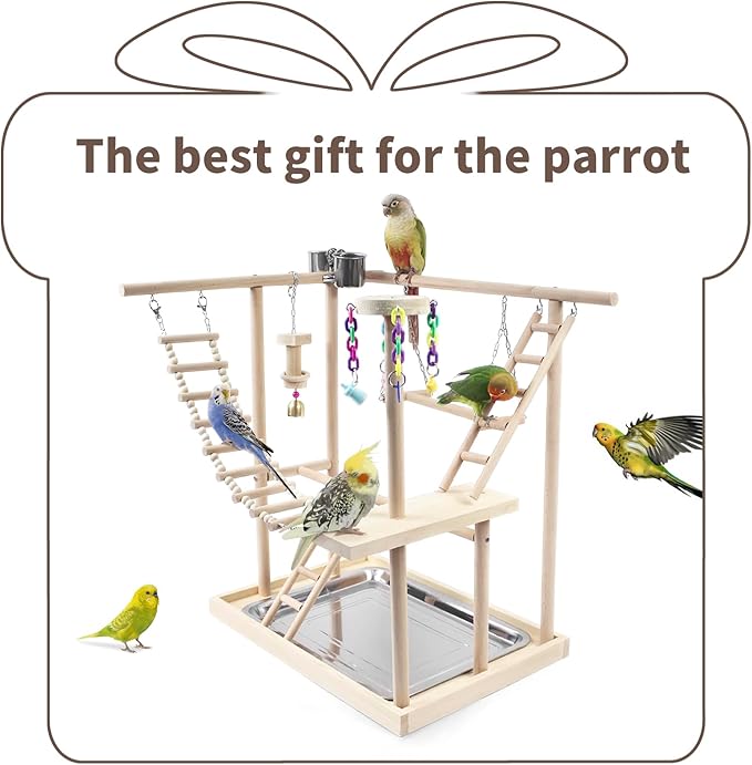 Bird Playground, Parrot Play Stand with 2 Layers of Stand Toys, Playpen for Parakeet Cockatiel Lovebirds, Exercise Playgym with Feeding Cups Stainless Steel