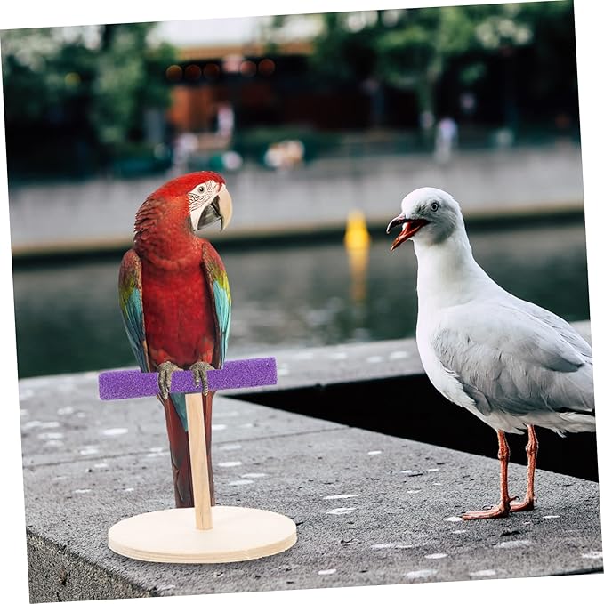 VANZACK Decorative Parrot Perch Platform Natural Wooden Bird Stand for Parrots Parakeets Sturdy Durable Accessory to Enhance Pet Environment and Curiosity