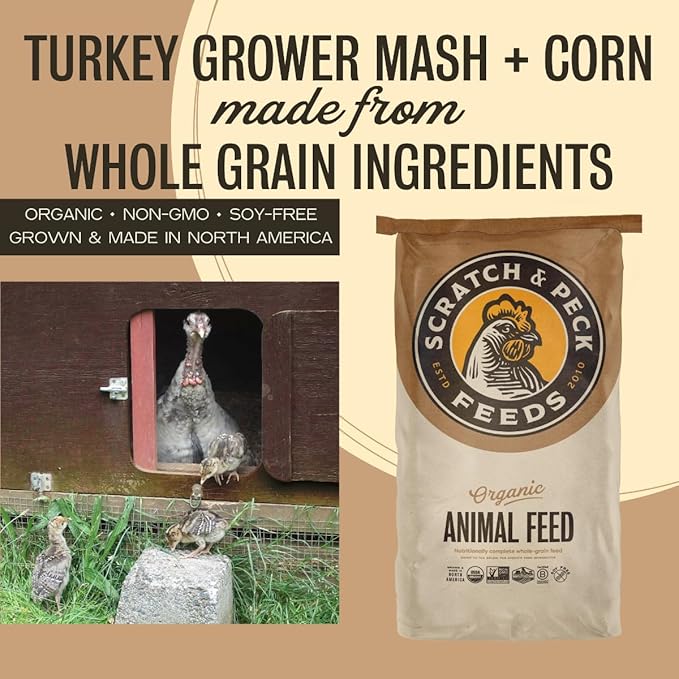 Scratch and Peck Feeds Whole Grain Grower Mash + Corn Turkey Feed - 40 lbs Bag - Soy-Free - 20.5% Protein, Certified Organic and Non-GMO Project Verified Turkey Food