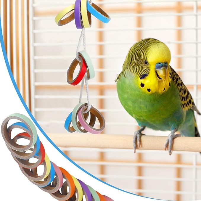 Jenaai 24 Pcs Chew Bagels Bird Toys for Parrots 2.4 Inch Wood Bird Chew Toys Colorful Cardboard Foraging Chew Foot Wooden Training Toy for Cockatiels Cockatoos Macaws and Similar Sized Pet Birds