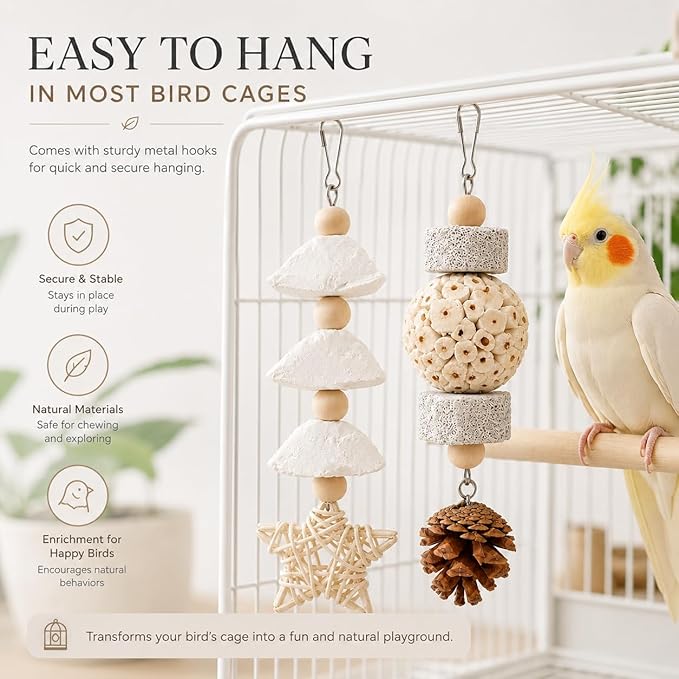 2 Pack Natural Bird Toys for Small Birds, Cuttlebone & Sola Chew Toy Set with Pumice Stone, Pine Cone and Rattan Star, Hanging Cage Accessories for Cockatiels, Budgies, Lovebirds and Conures