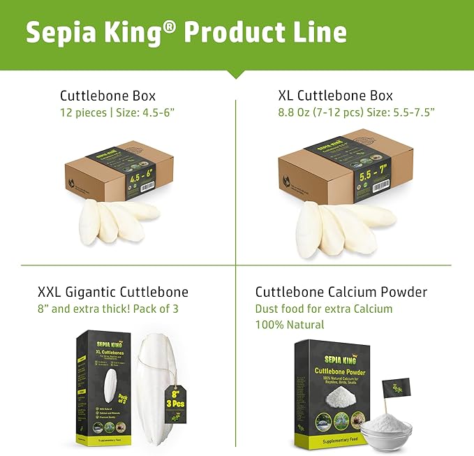 Sepia King - Extra Large - 100% Natural Calcium Supplement - Premium Cuttlebone Perfect for Birds, Tortoises, Snails, Reptiles - Pack of 3