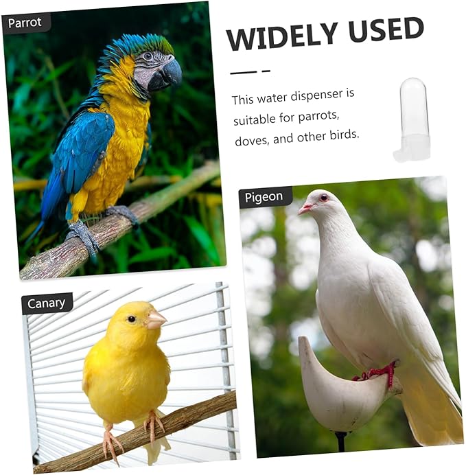2pcs Bird Drinker Bird Water Dispenser Hanging Water Feeder Bird Food Container Bird Feeder Tray Bird Food Holder Bird Cage Supply Pet Bird Feeder Bird Supply Plastic Bird Feeder
