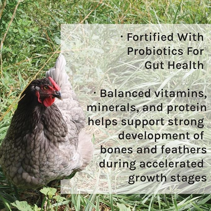 New Country Organics I Power Pellet Broiler Feed 40 lbs I Grower/Broiler Feed for Growing Chickens I Soy-Free I 19% Protein I Certified Organic and Non-GMO I 40 lbs