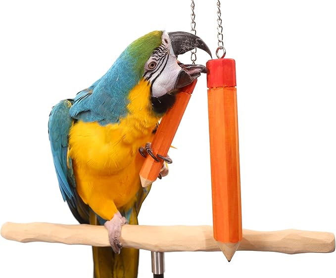 Bird Pencil Parrot Toy (Large)