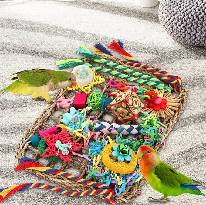 Foraging Toys for Parakeets Cockatiel Conures Lovebirds - Seagrass Wall with Various Bird Toys