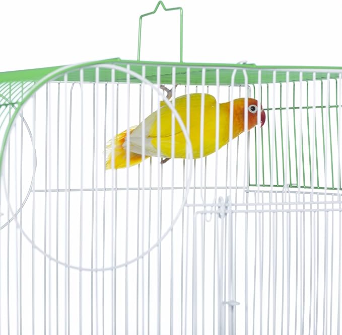 Prevue Pet Products South Beach Flat Top Bird Cage - Ideal for Finches, Canaries, Budgies, and Similarly Sized Birds, Minimal Assembly, Made of Powder-Coated Steel Wire Mesh - Green & White
