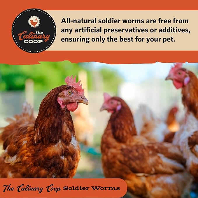 Fluker's Culinary Coop Bulk Dried Soldierworms, Premium Organic Dried Soldierworms for Chickens-High Protein & Omega3 Chicken Feed for Wild Birds, Reptile,& Chicken Treats for Laying Hens, 10lbs