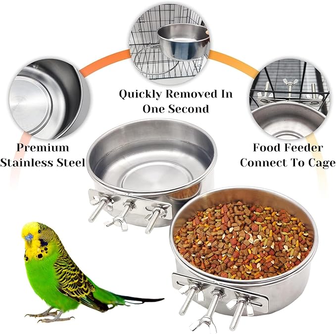 PINVNBY 2pcs Stainless Steel Bird Bowl - XL Water Dish for Parrot, Parakeet, African Greys, Conure, Cockatiels, Lovebird, Budgie, Chinchilla