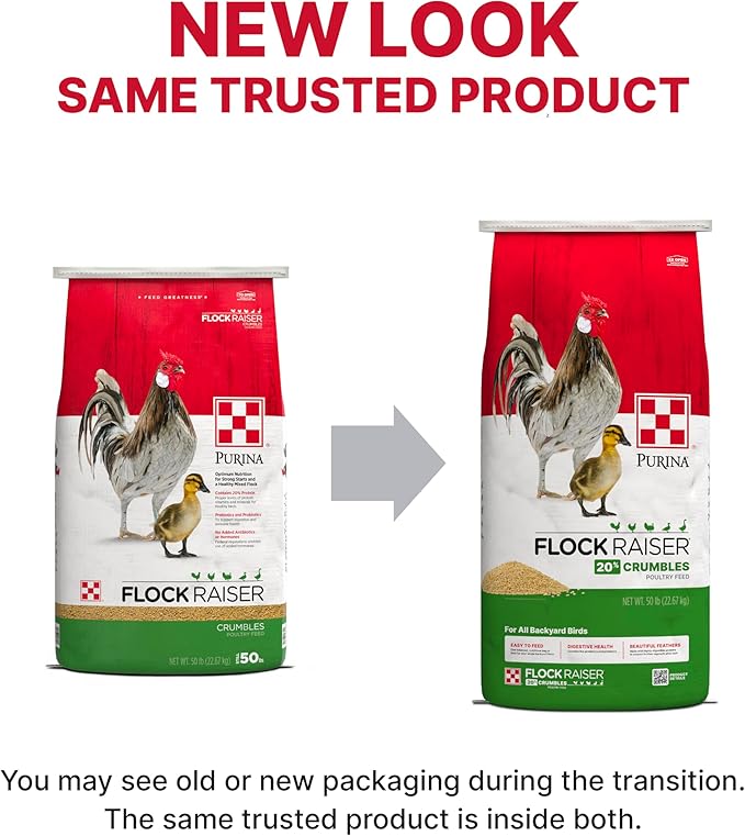 Purina | Flock Raiser Crumbles Poultry Feed | 50 Pound (50 LB) Bag