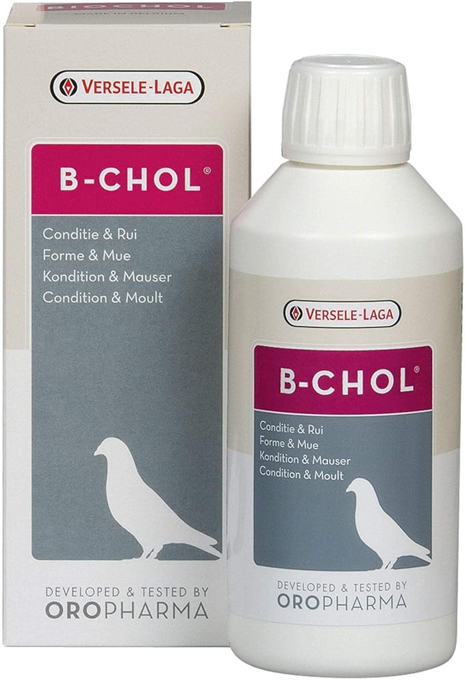 B-Chol Versele laga 500ml