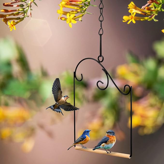 3 Pcs Hummingbird Swings and Perches Wild Bird Swing Metal Frame with 3 Hanging Chain and Wooden Dowel Hummingbird Swings for Outdoors Hanging, Outdoor, Trunk, Lawn, Patio, Garden, 3 Styles
