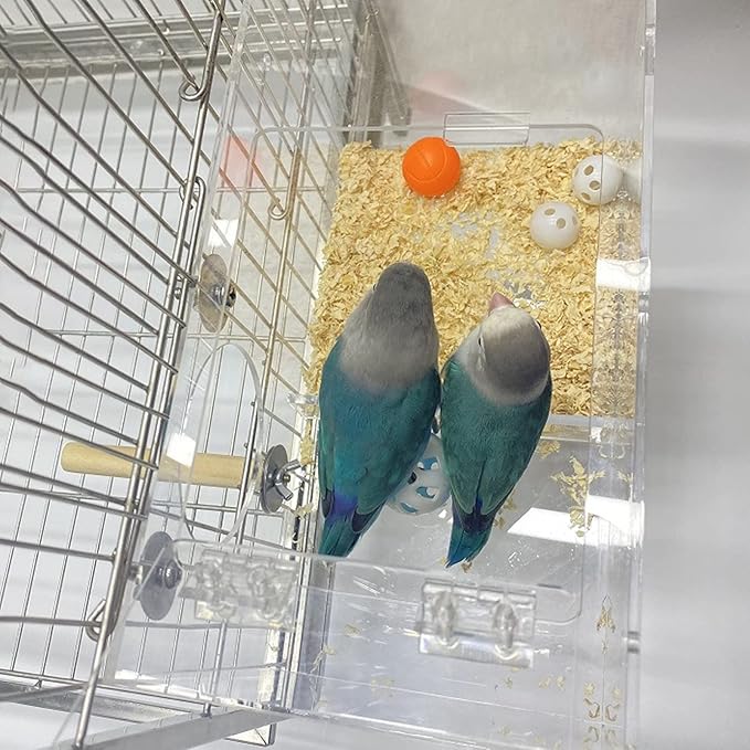 Pssopp Parakeet, Cockatiel, Budgie, Lovebirds Breeding Box - Transparent Acrylic Bird Cage - Portable, S Size