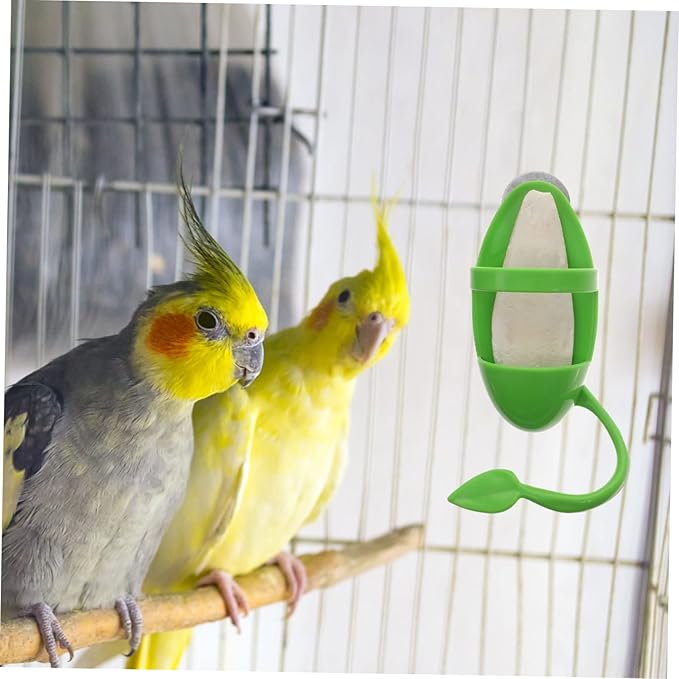 UKCOCO 3-Piece Parrot Cuttlebone Stand Bird Feeding Rack Vegetable Holder Budgie Food Bowl and Cuttlefish Bone for Snails Bird Cage Accessories