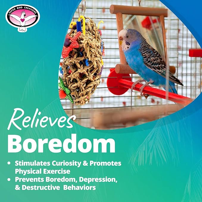 Super Bird Creations SB949 Pickin' Pocket - Ideal for Small to Medium Birds - Fun & Entertaining Foraging Bird Toy - Pickin’ Pocket Design - Bird Safe Component - 5” x 3” x 7.5”