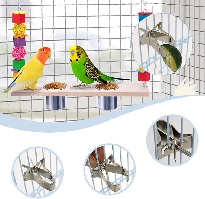 5Pcs Bird Food Holder, Cage Mount Fruit Bird Feeder Stainless Steel Clip Style for Parakeet Budgie Macaw