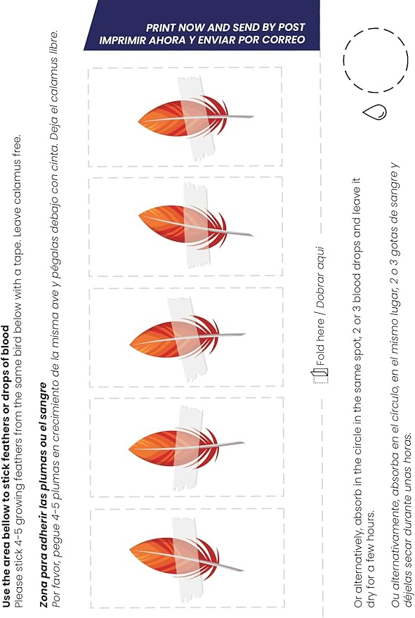 Bird Sexing DNA. Gender Reveal Test for Parrots, Lovebirds, Cockatoos, African Grey,Macaw, Cockatiels, Parakeets, Eagles, Owls + 1000 Species. Avian Sexing DNA Testing. Sample Collection Kit included