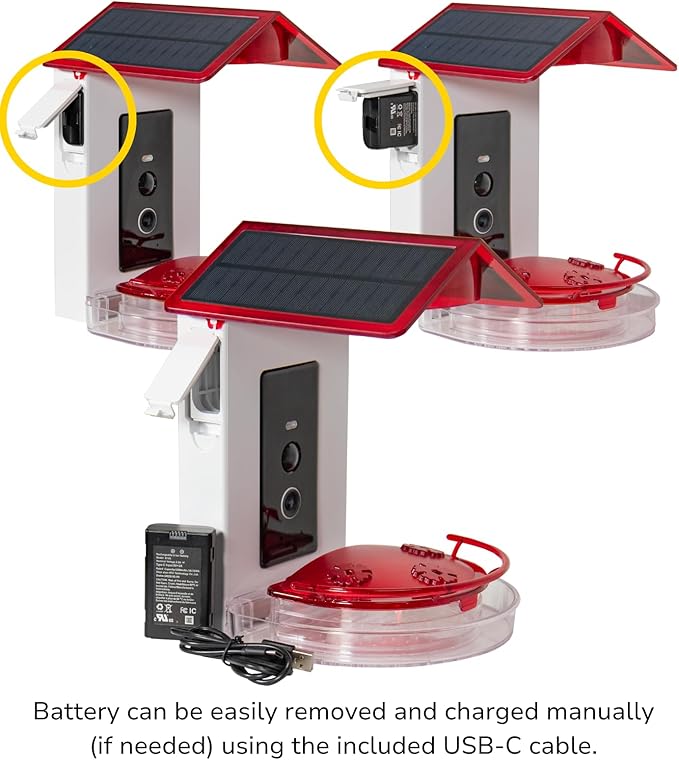 JCS Wildlife Smart 2-in-1 Hummingbird Feeder with Camera, Solar Roof, AI Bird Identification, 1080 HD Live Video, Automatically Capture Videos and Images, Great Gift for Birders