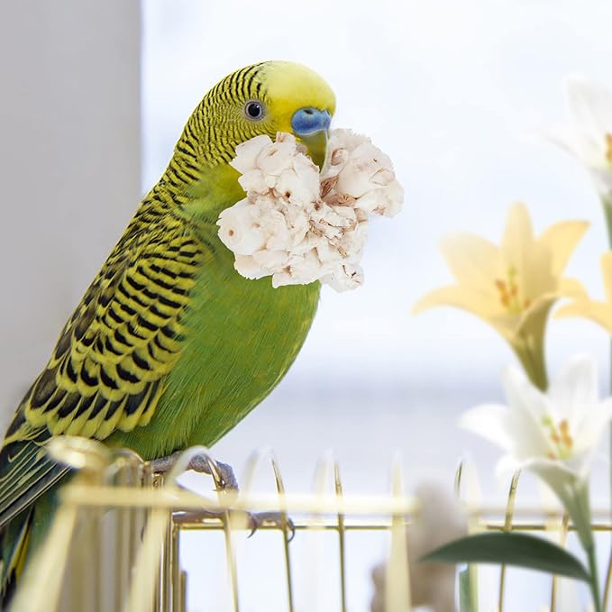 andwe Bird Toy Sola Ball - Natural Soft Chew Shredding & Foraging Toy for Cockatiel Conure Quaker Parrot Budgie Parakeet Rabbit Bunny Guinea Pig Chinchilla (Style 1 (Pack of 6))