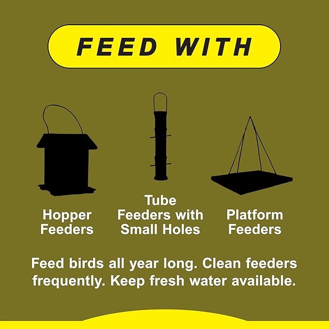 Wild Delight Advanced Formula Special Finch Food, Wild Bird Seed Mix, 5lbs