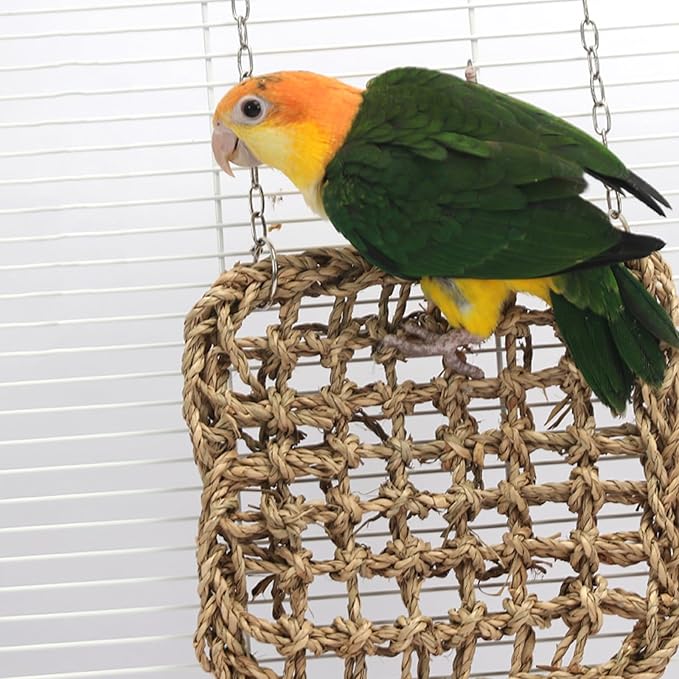 2 PCS 7 x 7 Inches Seagrass Mat, Natural Seagrass Woven Bird Net Hammock Mat, Cage Accessories, Climbing Rope Ladder Chew Toys for Parrots, Cockatoos, Lovebirds, Cockatiels, Budgies, Parakeets