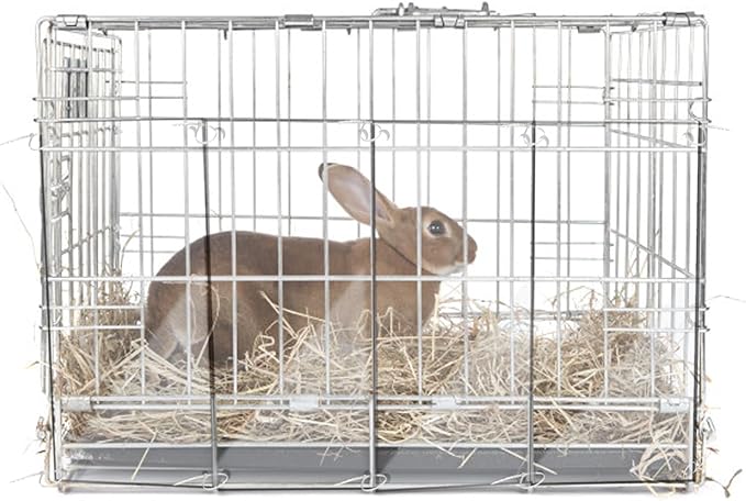 20Pcs Clear Cage Edge Liner Guinea Pig Cages, Pet Cage Liner 14" x 4.5", with Holes Zip Ties Urine Guard Side Ferret Cage Accessories for Rabbit Pet Hamster Rat and Other Small Animal