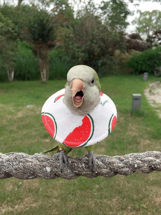 Bird Collars,Adjustable Recovery Collar Parrot Elizabeth Collar for Feather Plucking Feather Protector Shield with Soft Padded Cotton Neck Cone Anti-bite Anti-Licking Wound Healing (2M,Watermelon)