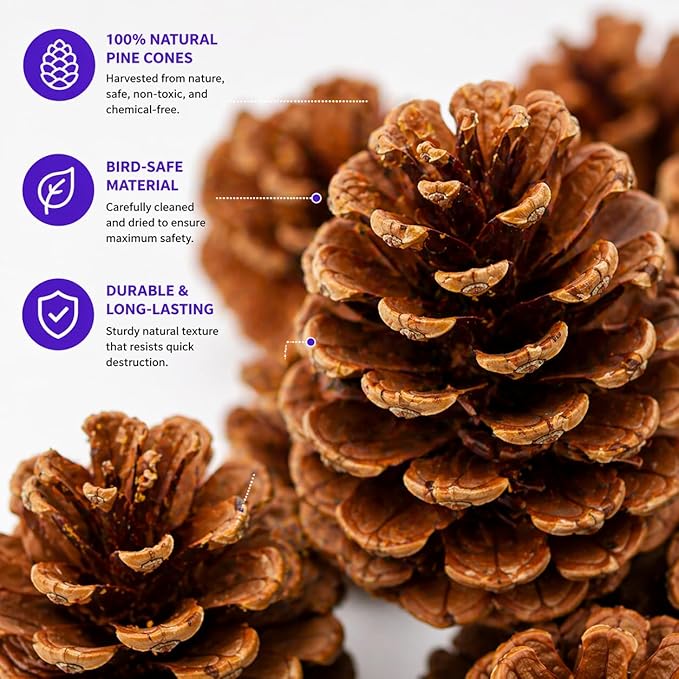 Bonka Bird Toys 3284 Natural Pine Cone Bird Toy 2" Real Pinecone Chew Foraging Toy for Small to Medium Birds Parakeet Cockatiel Conure Finch Cage Enrichment (Pack of 12)