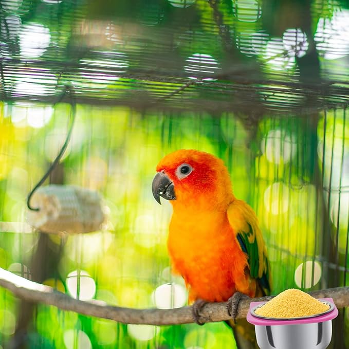 Practical Parrot Food Box Feeding Cups Eco-Friendly No Harmful Easy to Maintain Use