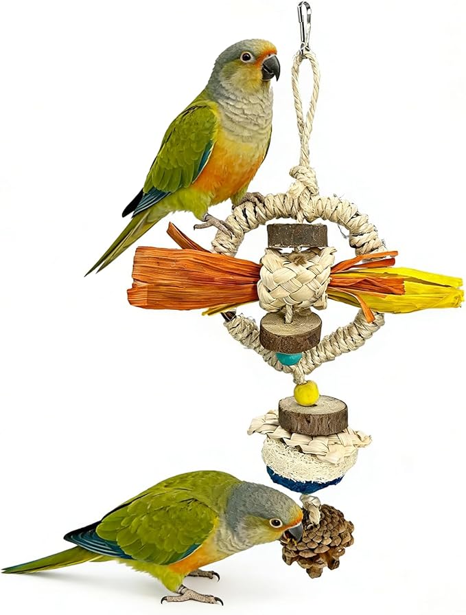 Parakeet Toys, Natural Hanging Bird Chewing & Foraging Toy with Corn Foliage and Seagrass, Beak-Safe Chewer for Conures, Cockatiels, Senegal Parrot and Small to Moderate-Sized Birds