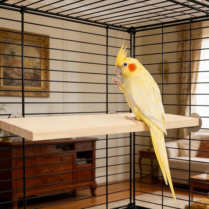 Wontee Bird Perch Stand Wooden Platform for Cockatiels Conures Rats Gerbils Chinchillas Squirrels (M)
