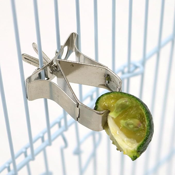 5Pcs Bird Food Holder, Cage Mount Fruit Bird Feeder Stainless Steel Clip Style for Parakeet Budgie Macaw
