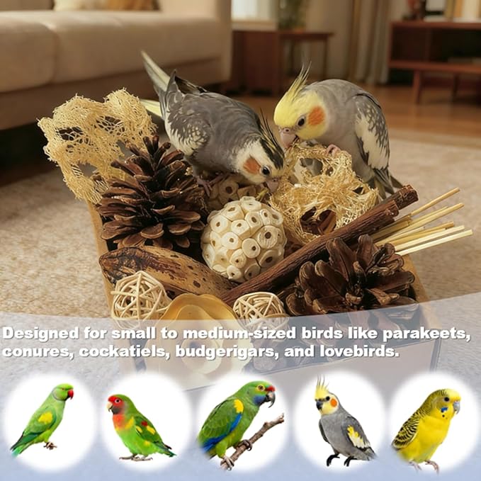 Bird Toys - Sola Ball Foraging Box, 10 Natural Ingredients | Chewing and Shredding Parrot Toys | Ideal for Parakeets/Cockatiels/Conures/Lovebirds and Small to Medium Birds