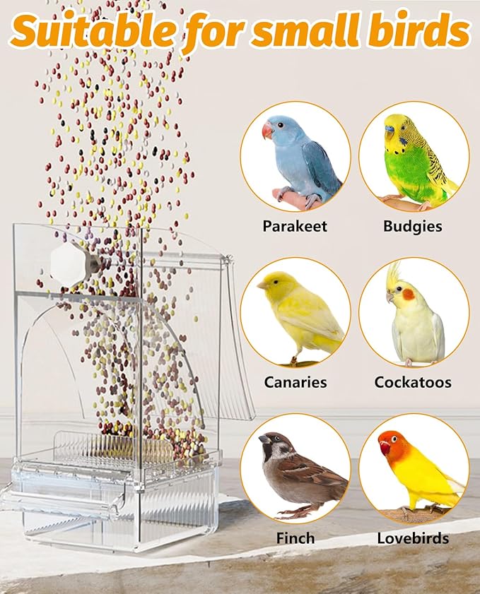 BNOSDM No Mess Bird Feeder Transparent Bird Food Container Automatic Parrot Feeder with Perch Parakeet Cage Accessories for Budgies, Canaries, Cockatoos, Finch and Lovebirds