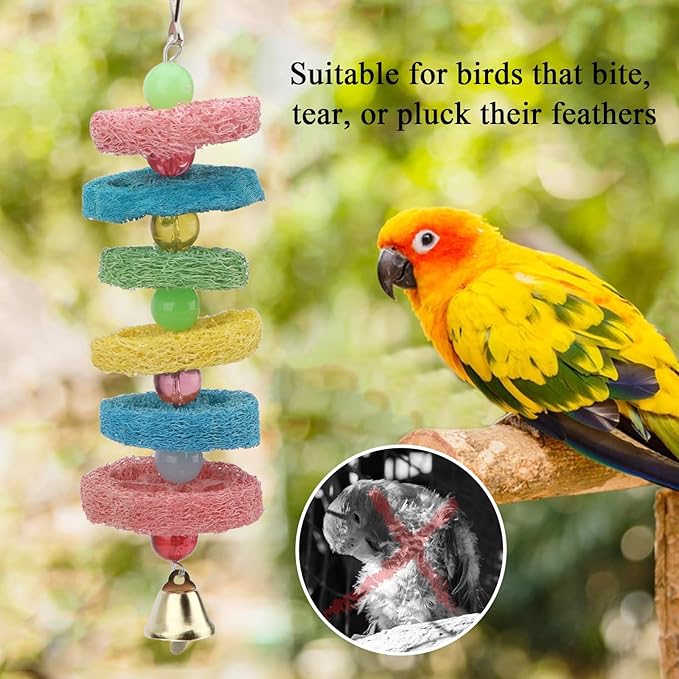 Hypeety Bird Toys Parrot Hanging Chew Toys Natural Colorful Loofah Shred and Preen Swing Bird Bell Cage Parrot Toys