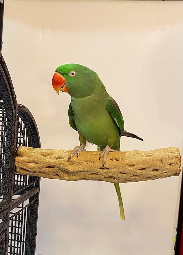 Polly's Beach Sands Nail Trimming Bird Cage Perch for Parakeets, Cockatiels, Amazons, Grays, Cockatoos, Macaws, eclectus and Many Other Birds (Large, Brown)