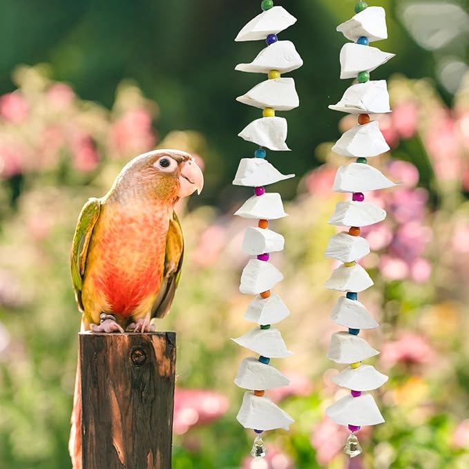 BNOSDM Bird Toys with Cuttlebone 4 Pack Hanging Cuttle Bone Chew Toys Natural Bird Beak Grinding Stone Parakeet Calcium Toys Bird Cage Accessories for Budgies Cockatiels Lovebirds Conures Parrots (12)
