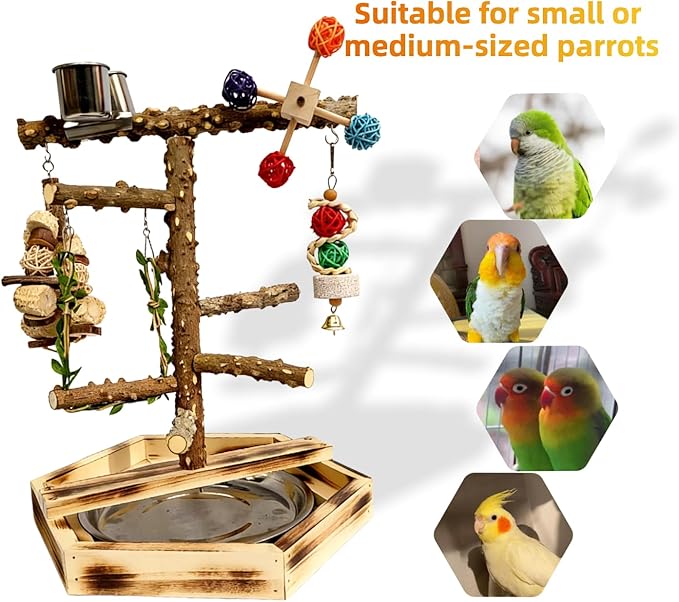 Natural Pepper Wood Bird Play Stand with Stainless Steel Bowls, Handmade Parrot Perch Gym with Chewing Toys & Bell, Tabletop Training Stand for Small to Medium Birds