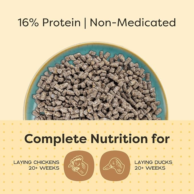 Scratch and Peck Feeds Whole Grain Layer Pellets Chicken and Duck Feed - 25 lbs Bag - Corn-Free and Soy-Free - 16% Protein, Certified Organic and Non-GMO Project Verified Chicken Food