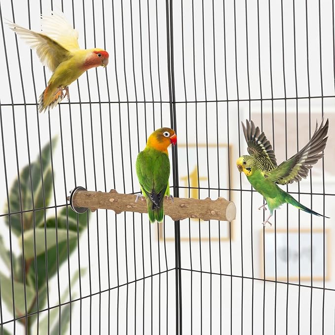 Hypeety Natural Wood Perch Stand Toy for Budgie, Parakeet, Cockatiel, Conure, Lovebird (7.86 inch)