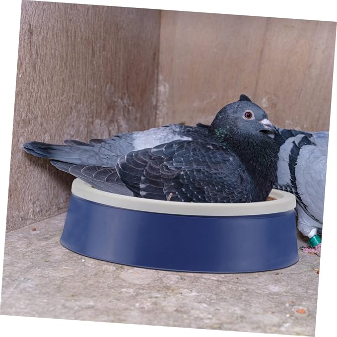 balacoo 4 Sets Pigeon nest Egg nest Straw Birds Pigeon Supplies Bird cage Accessories White Plastic Eggs Pigeon breeding Parakeet Bird cage Pigeon Nest Supply Bowl mat homing Pigeon Coir