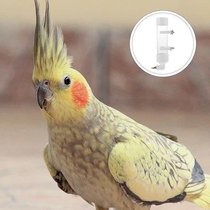 TEHAUX Automatic Bird Water Dispenser, Large Capacity Transparent Water Feeding Bottle for Parakeets, Canaries, Cockatiels, Finches and Other Similar Sized Birds