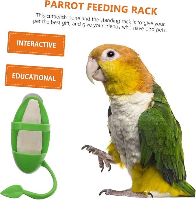 UKCOCO 3-Piece Parrot Cuttlebone Stand Bird Feeding Rack Vegetable Holder Budgie Food Bowl and Cuttlefish Bone for Snails Bird Cage Accessories