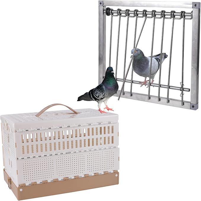 29 * 26cm Pigeon Trap Door and M Plastic Folding Pigeon Cage