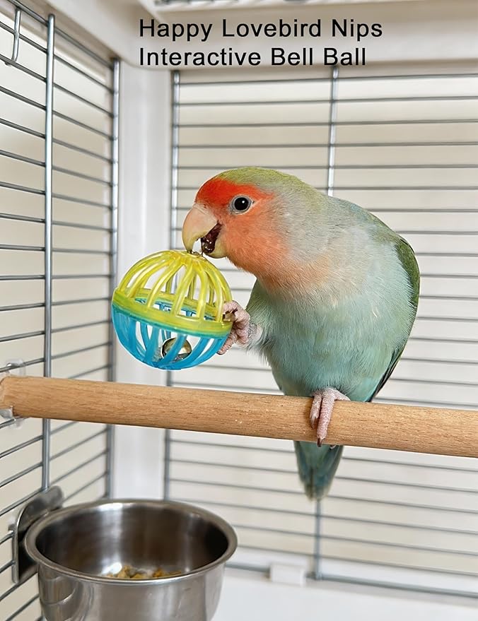 12 Pack Bird Toys for Small and Medium Parrots, Colorful Chew Bell Balls Foot Toys with Rattles for Parakeets Cockatiels Conures