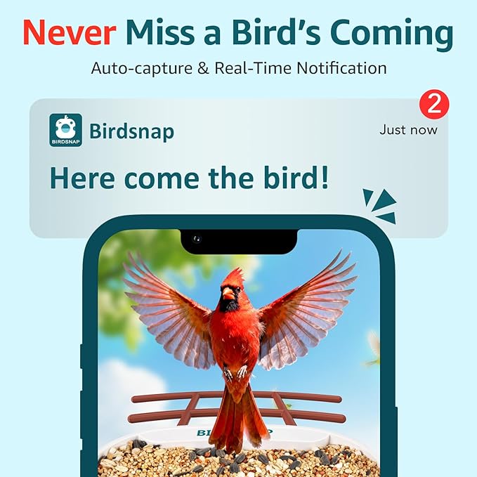 birdsnap® TUC Bird Feeder with Camera 2K HD Live with 32GB Card Auto Detect & Notify AI Identify Camera Birds Feeders Solar Powered Wireless Outdoors Backyard Gift for Mom Dad Birds Lover, 2.4G WiFi