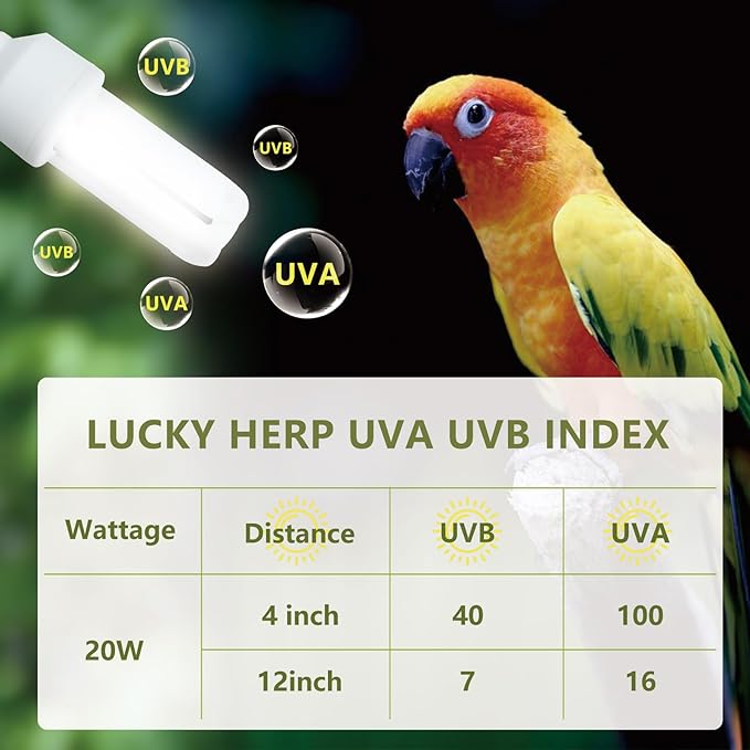 LUCKY HERP UVA UVB Light Bulb for Birds 2.4 UVB 20W Compact Flourescent Lamp for All Kinds Captive Birds