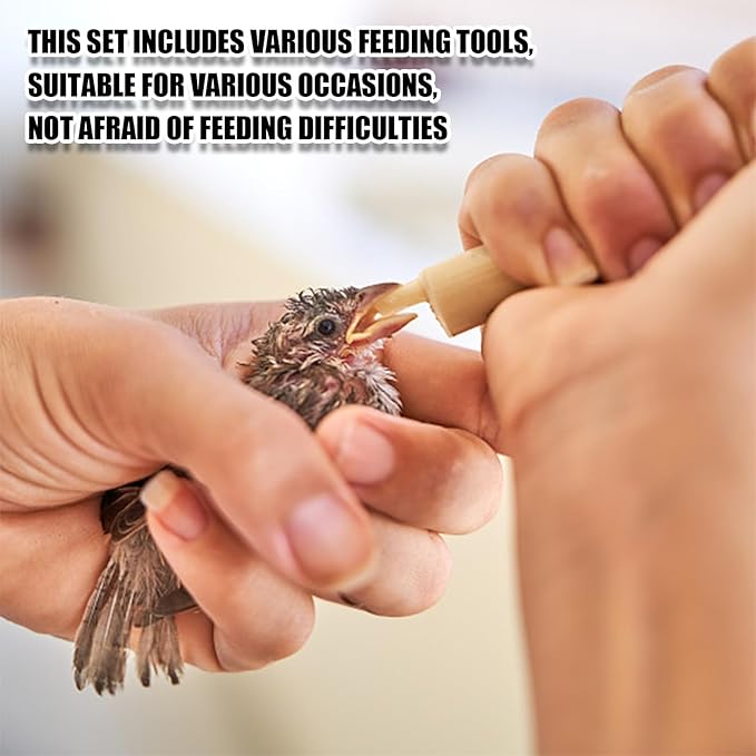 Bird Feeding Syringe Set,Parrot Syringe Feeder with Feeding Spoon and Tubes,Baby Bird Feeding Syringe Manual Tools for Pigeons Parrots Small Animals Feed Liquid Milk Medicine (Clear 1ML+2.5ML+5ML)